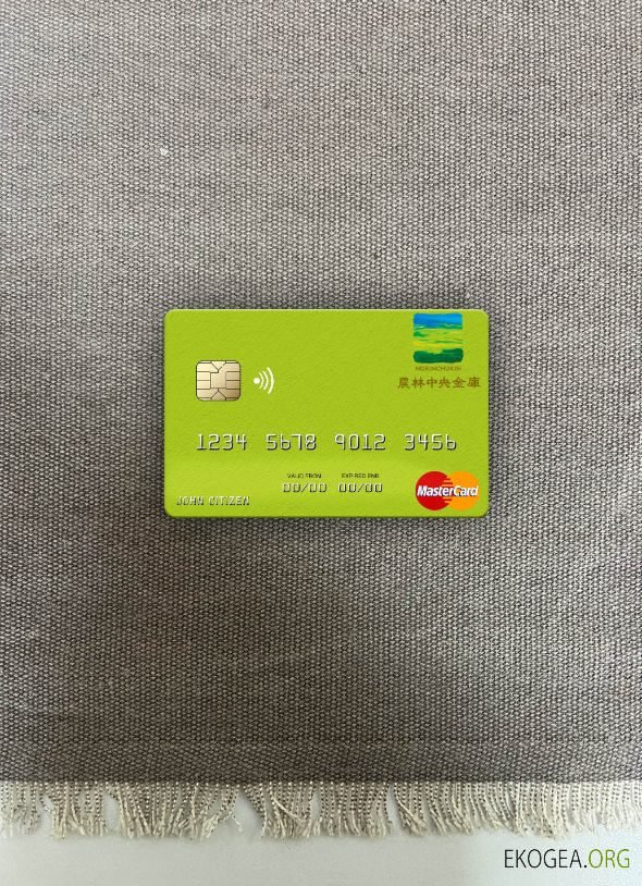 Japon Norinchukin Bank mastercard photolook recto